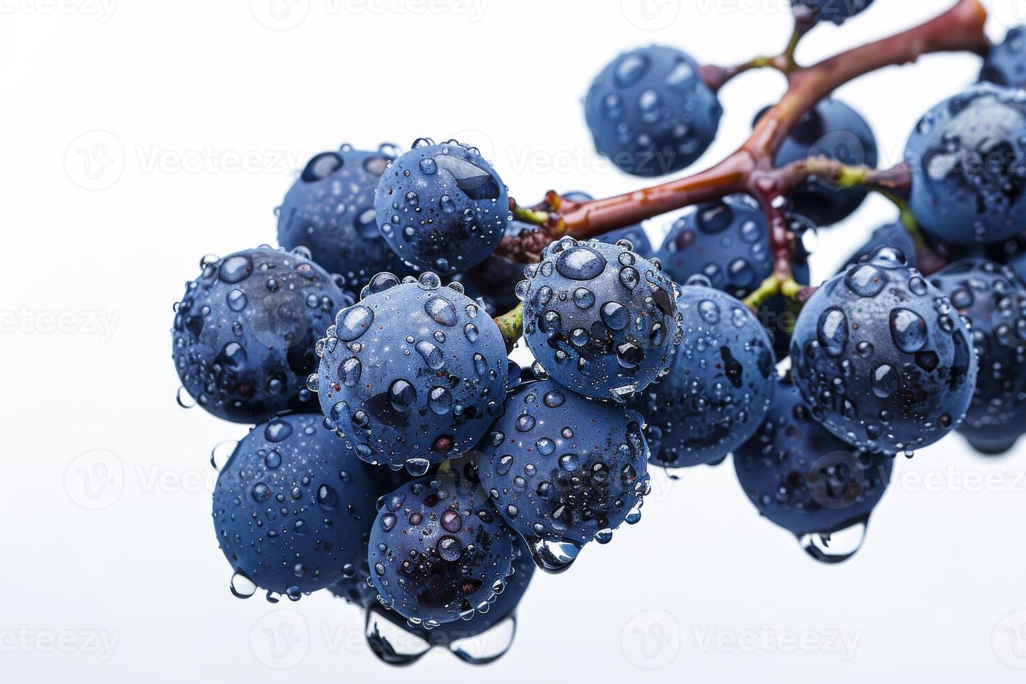 A bunch of grapes with water droplets on them photo