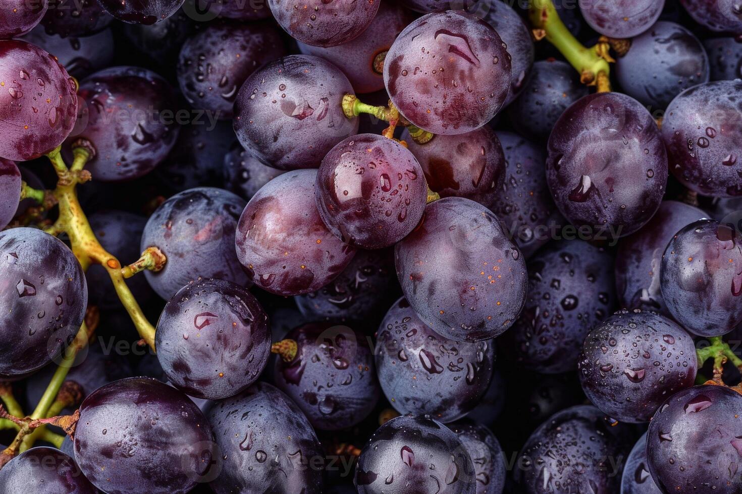 A close up of a bunch of grapes photo