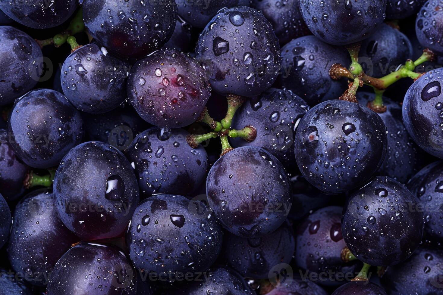 A bunch of grapes with water droplets on them photo