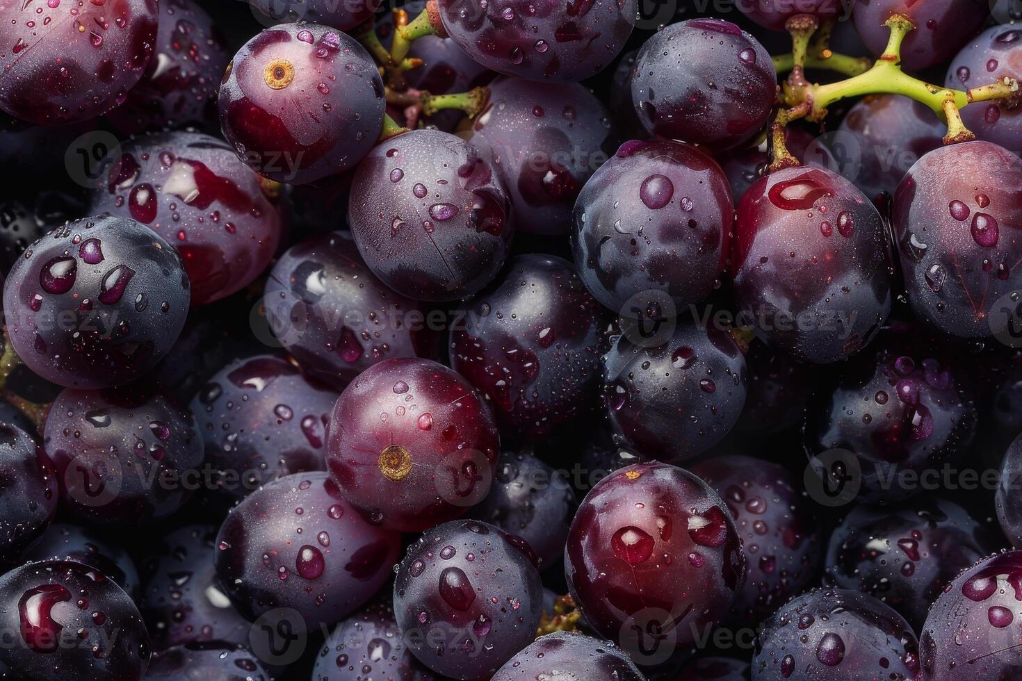 A close up of a bunch of grapes photo