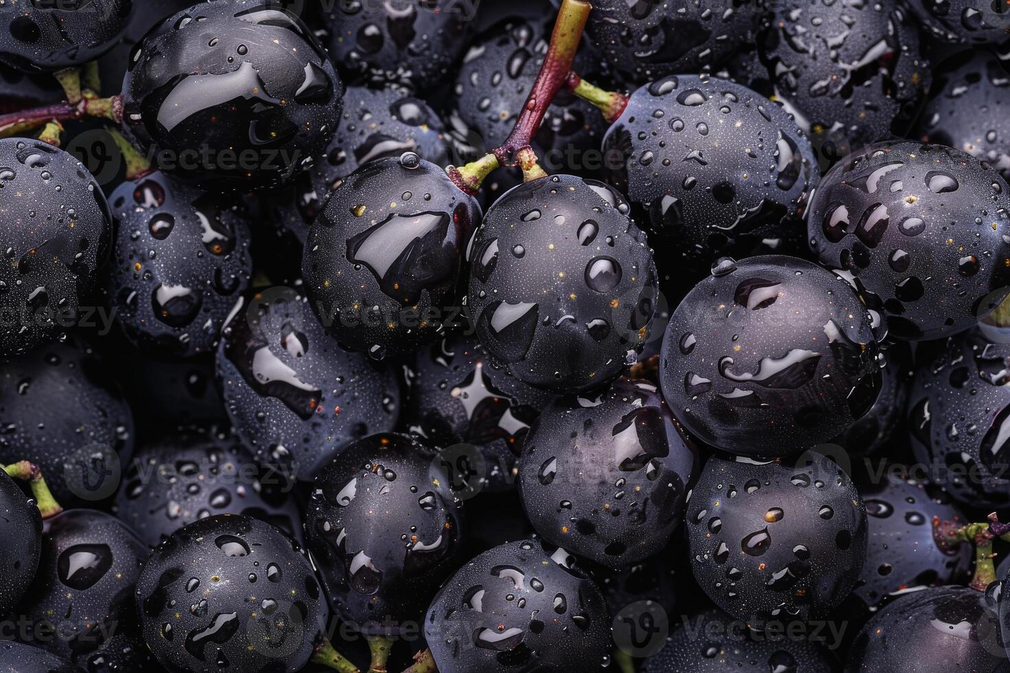 A bunch of grapes with water droplets on them photo