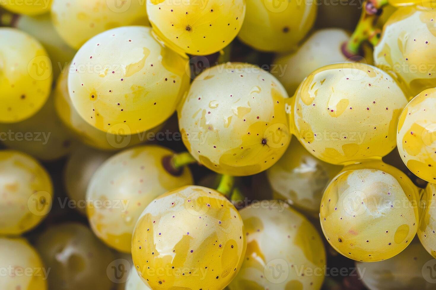 A close up of a bunch of grapes photo