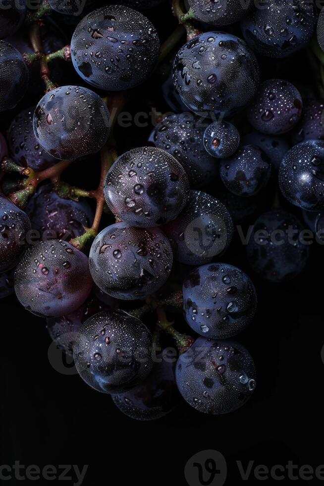 A bunch of grapes on a black background photo