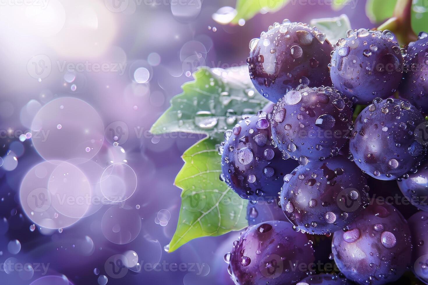 Grapes with water droplets on them in a purple background photo