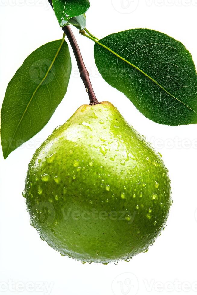 A pear hanging from a branch with water drops photo