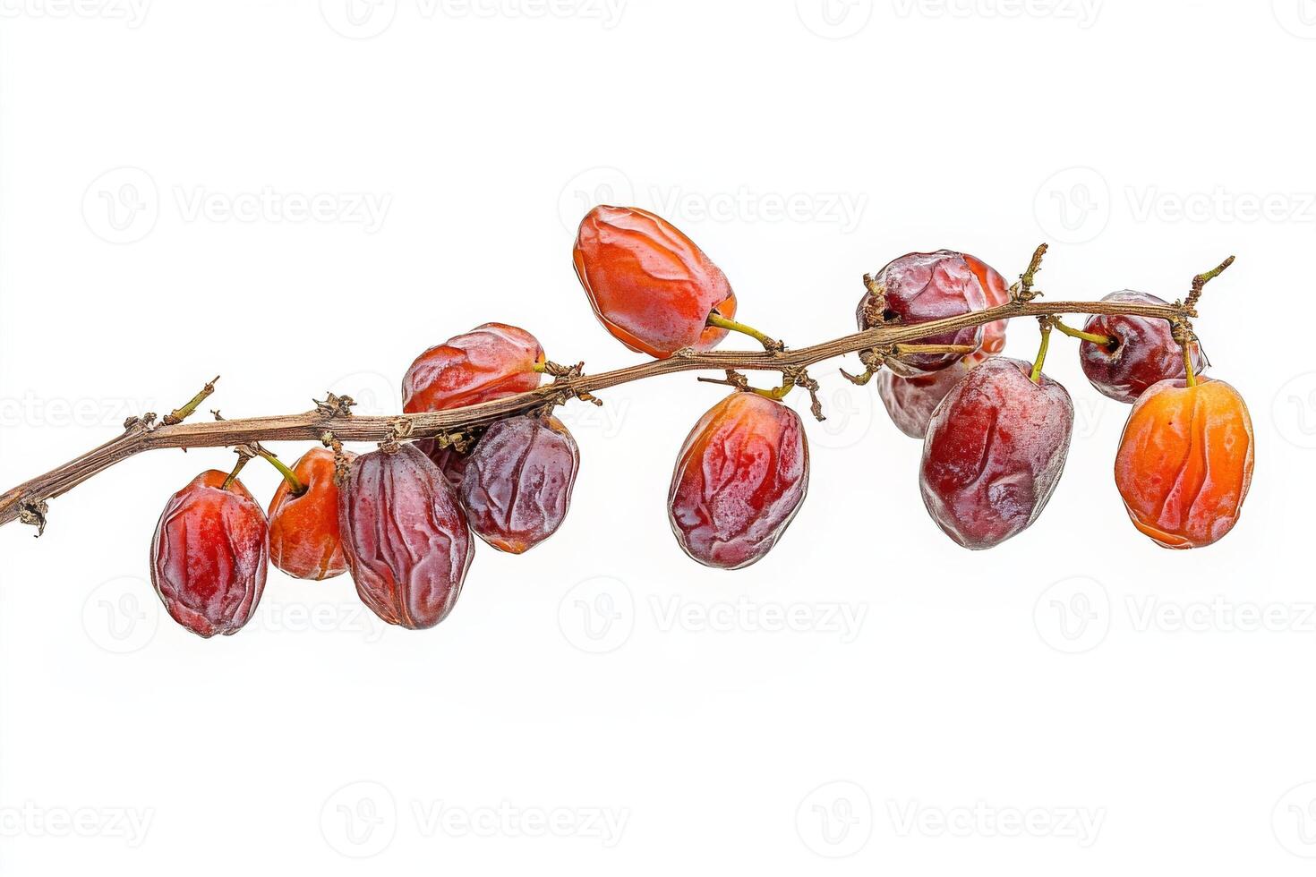 Date palm fruit photo