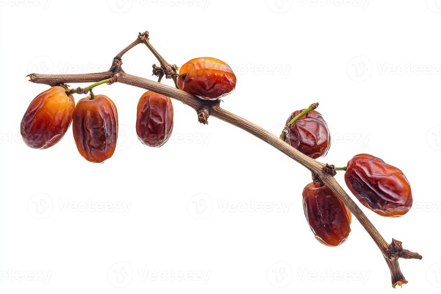 Date palm fruit on a branch photo