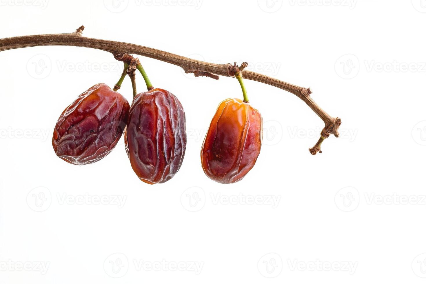 Three dates hanging from a branch photo
