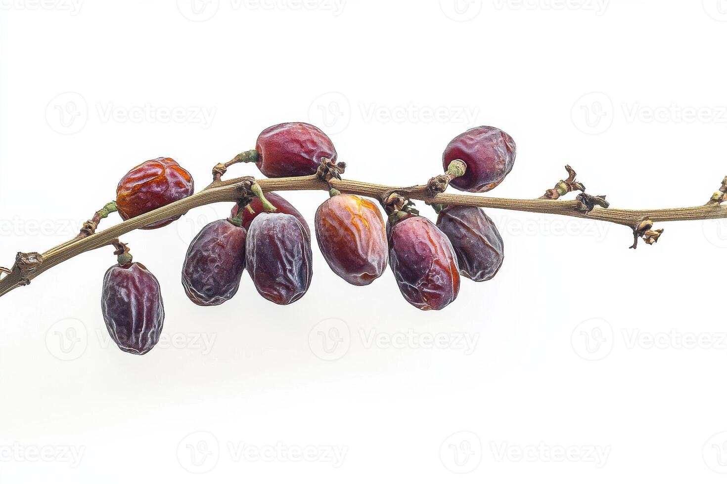 A bunch of dates are on a branch photo