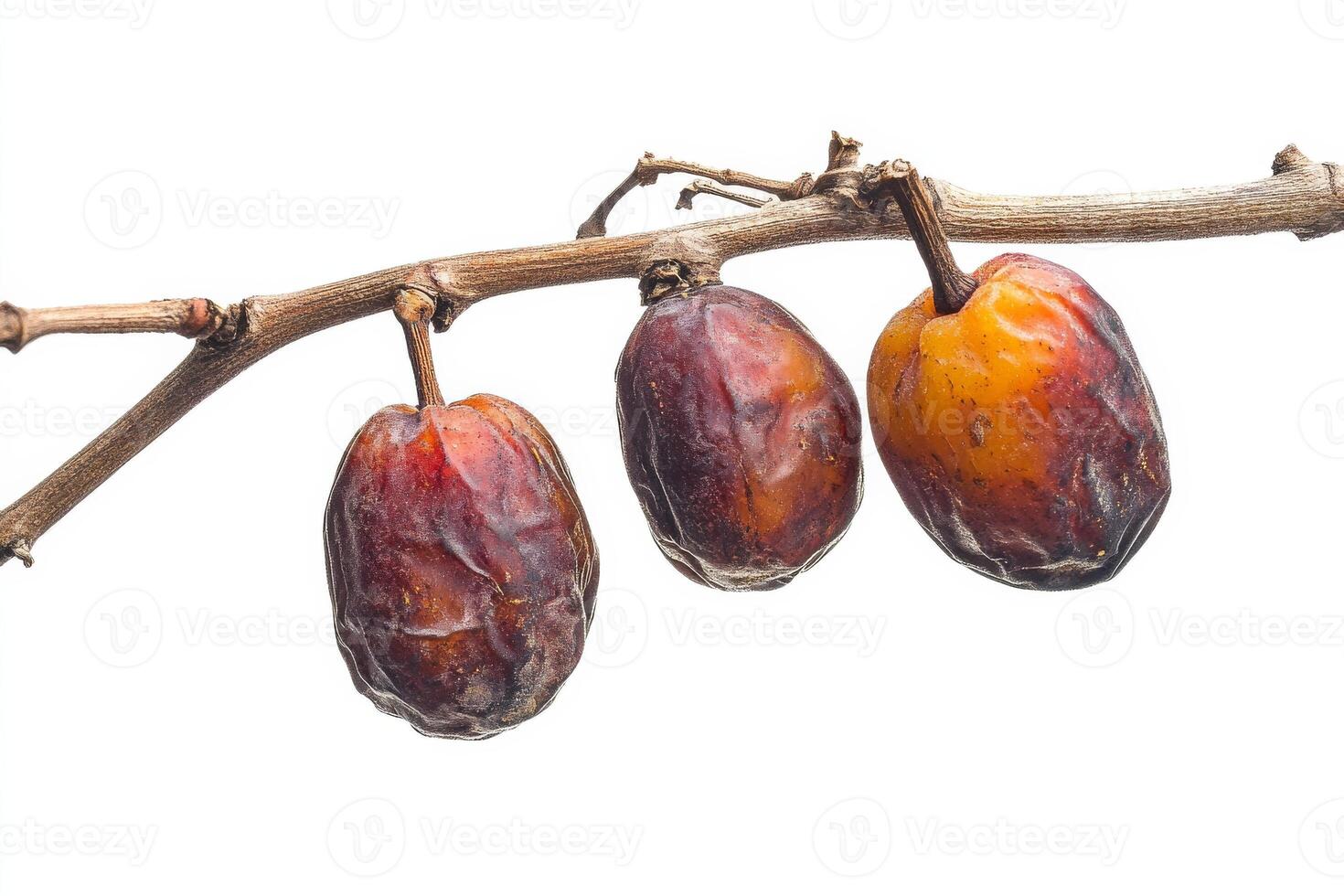 Three ripe dates on a branch photo