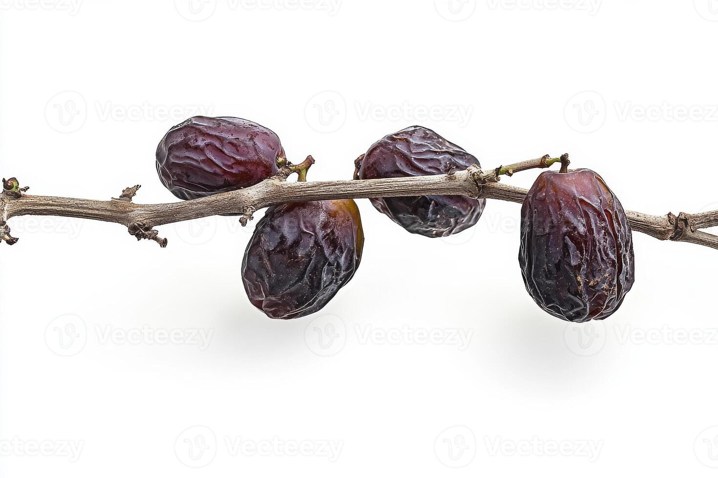 A bunch of dates on a branch photo