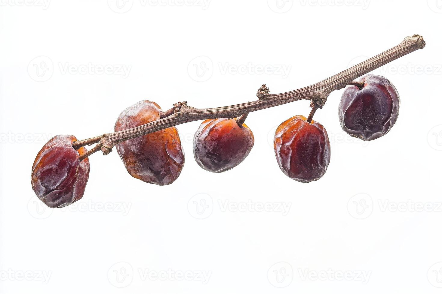 Date palm fruit on a branch photo