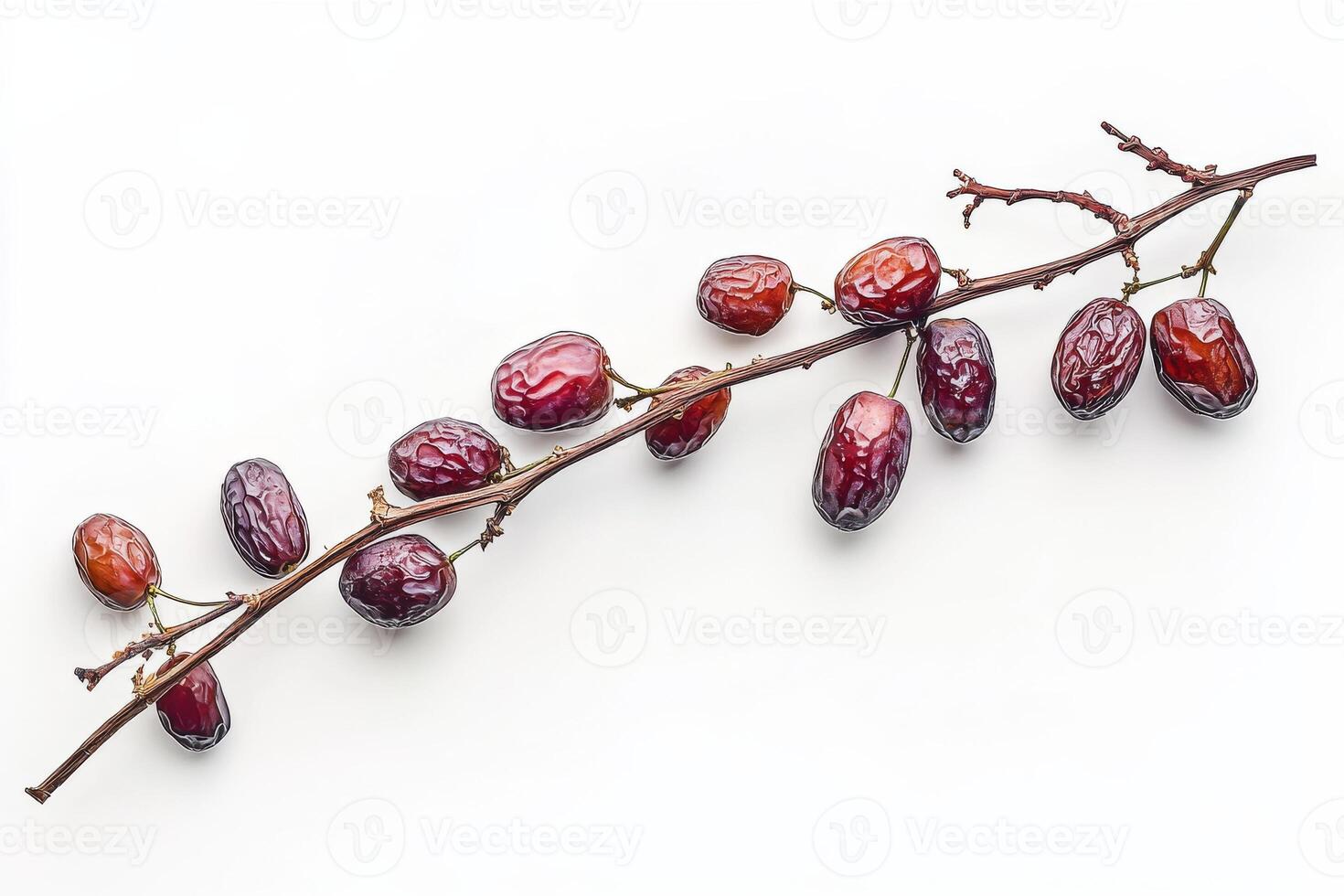 Date palm fruit on a branch photo