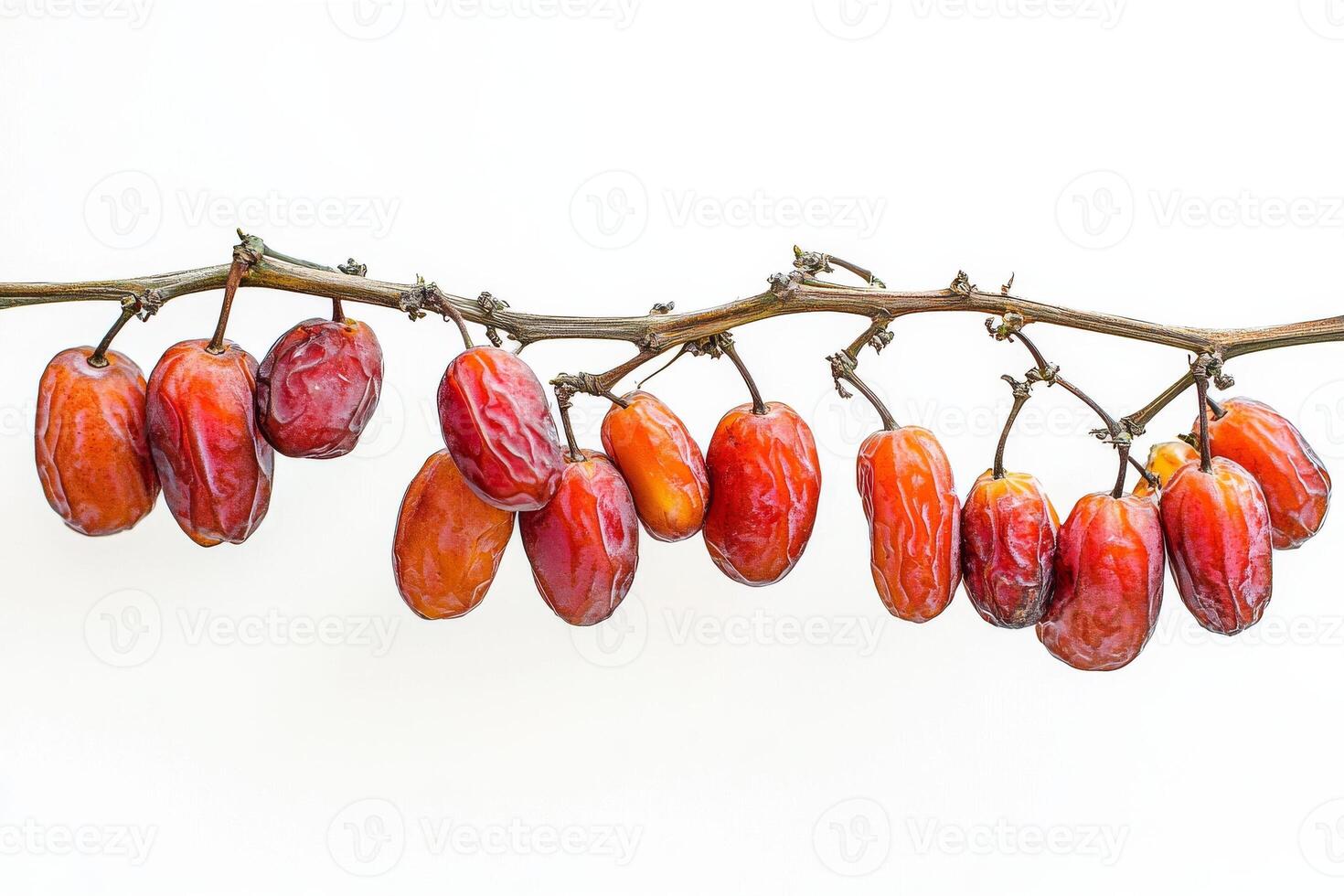 Date palm fruit on a branch photo