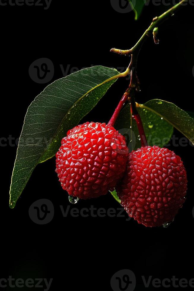 Two red fruits on a branch photo