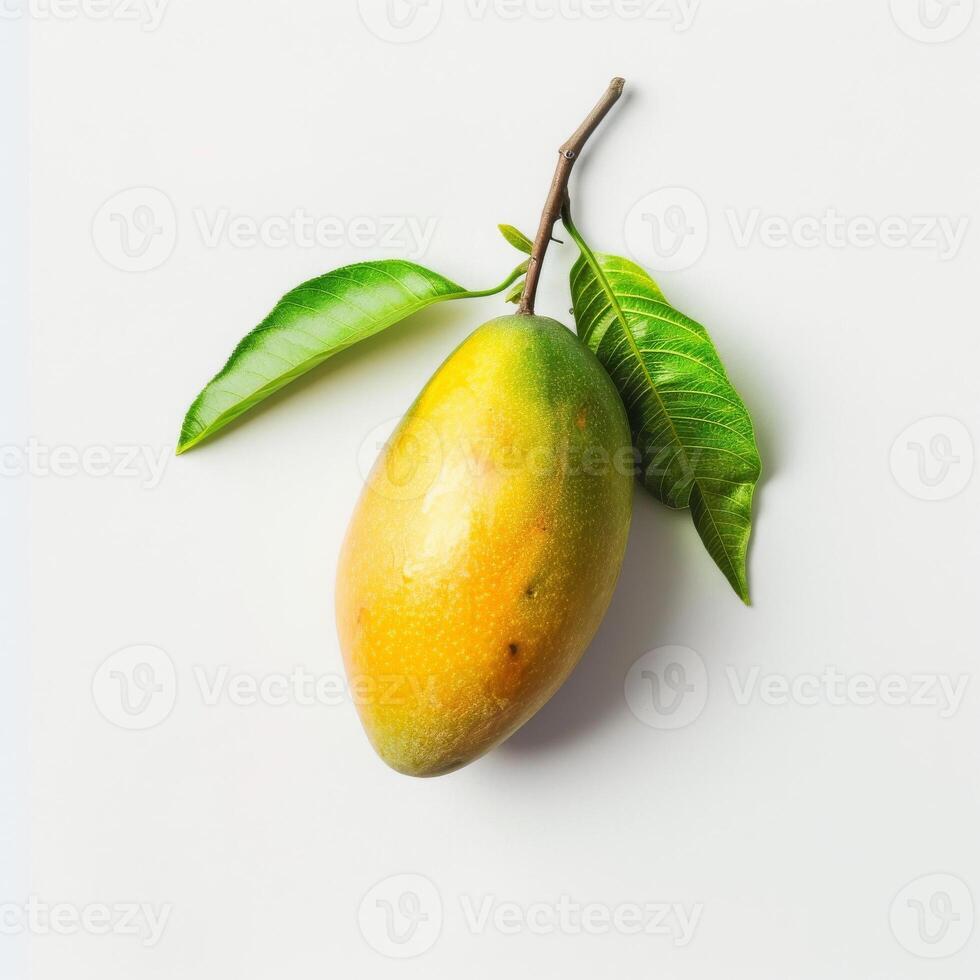 Mango on white background with copy space photo