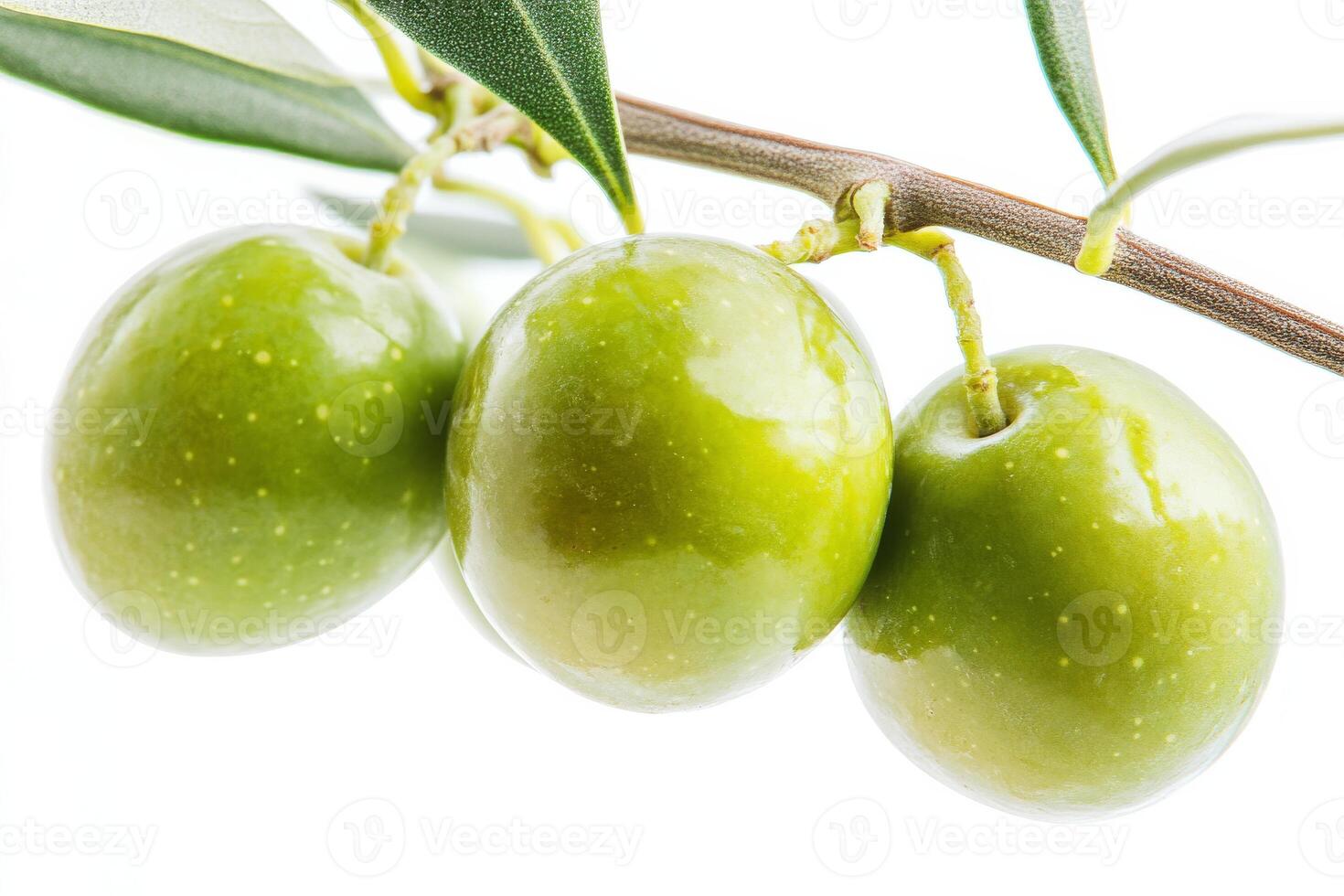 Three green olives are hanging from a branch photo