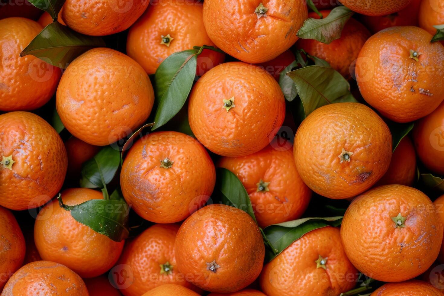 A pile of oranges with leaves on them photo