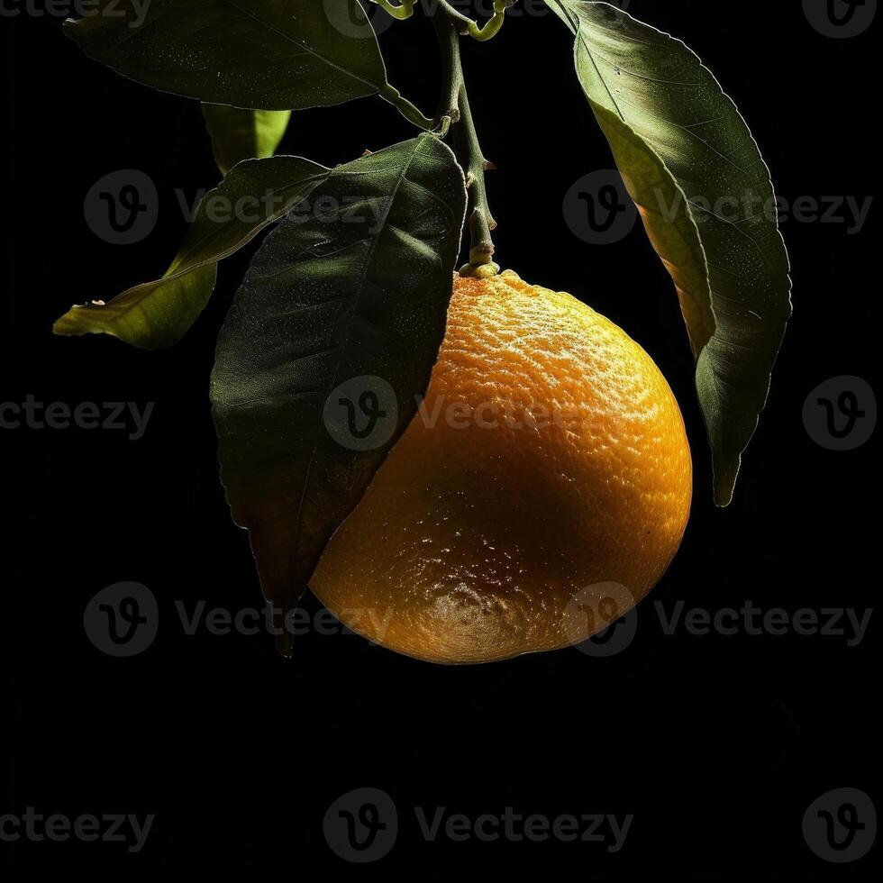 An orange hanging from a branch photo