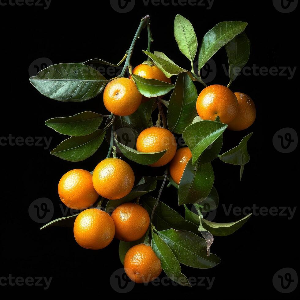 A bunch of oranges on a black background photo