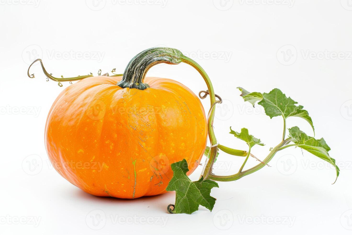 A pumpkin with leaves on it photo