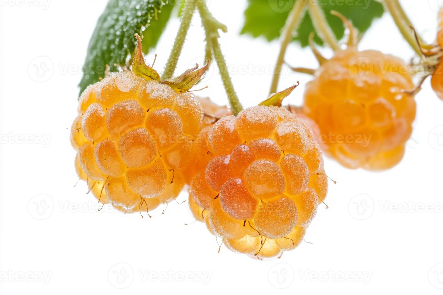 Raspberry, raspberry, raspberry, raspberry, raspberry, raspberry, raspberry, raspberry, raspberry, photo