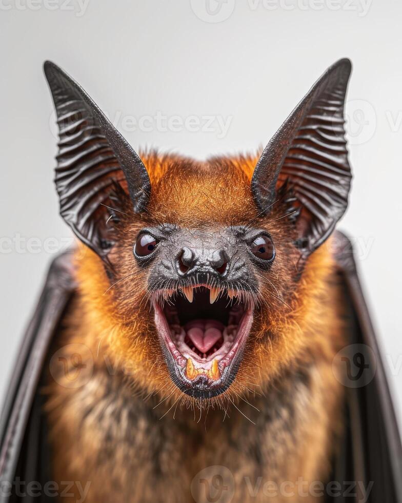 A bat with its mouth open and its teeth showing photo