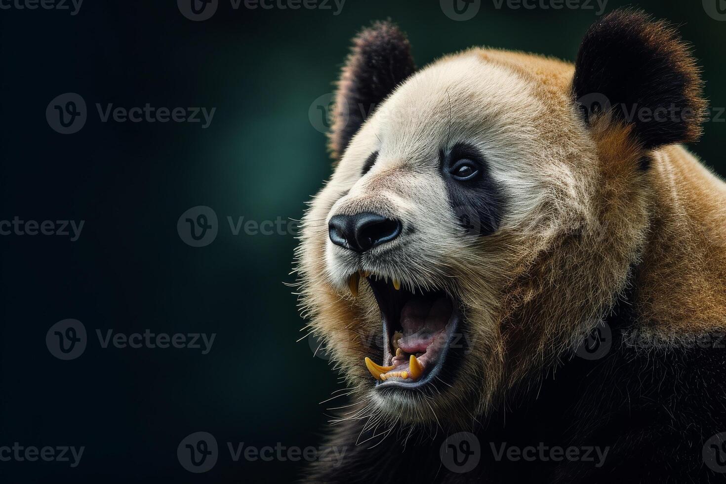 A panda bear with its mouth open and its mouth open photo