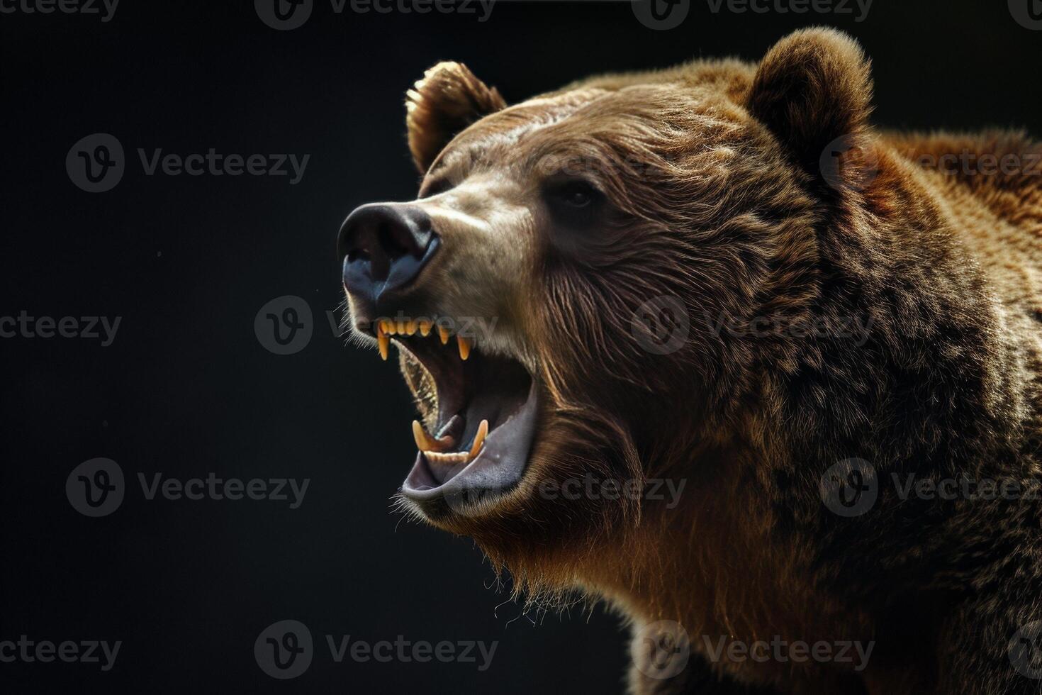 A close up of a brown bear with its mouth open photo