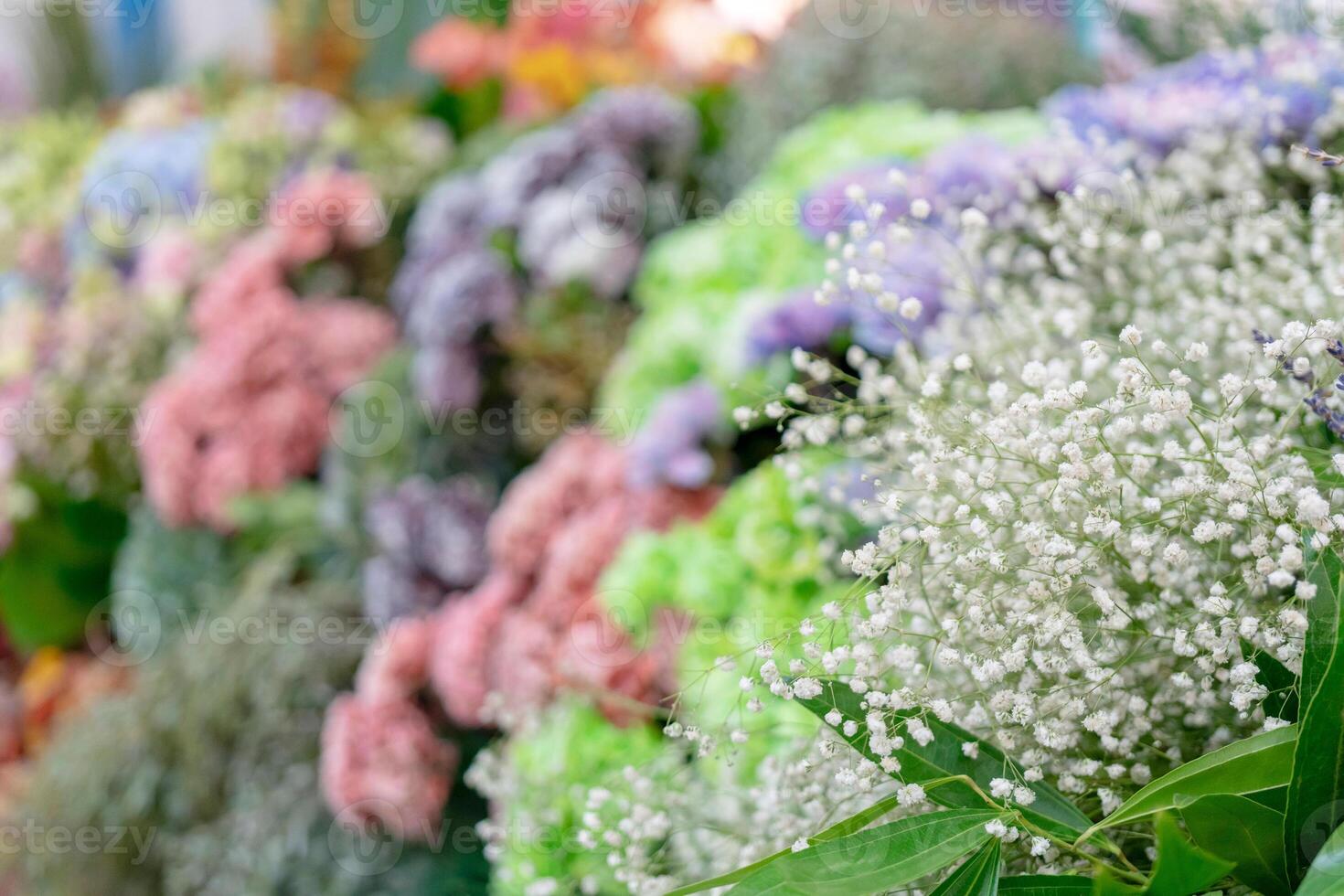 Wall of flowers and herbs. photo