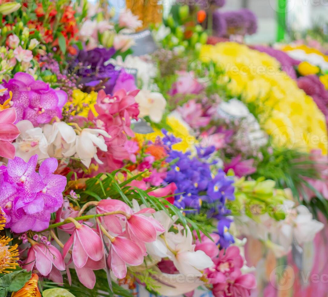 Wall of flowers and herbs. photo