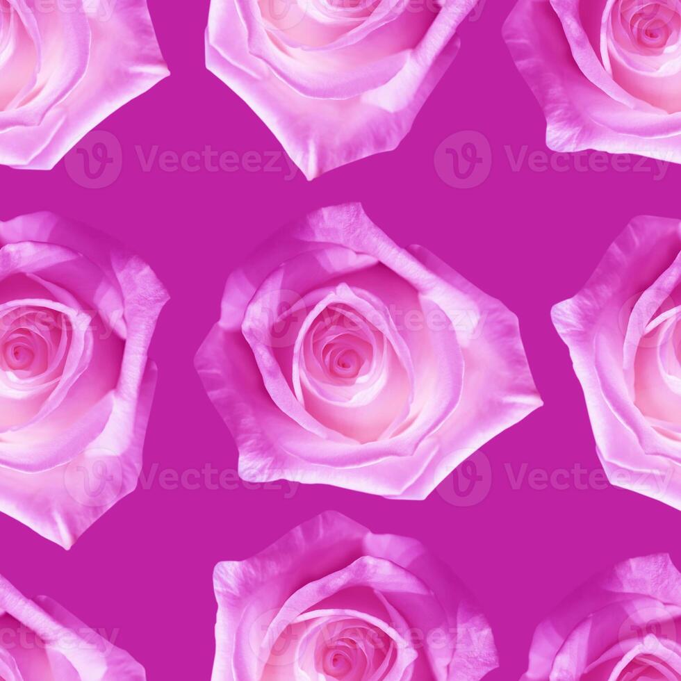 Beautiful pink rose flowers. Blooming roses seamless pattern. Floral natural background. photo