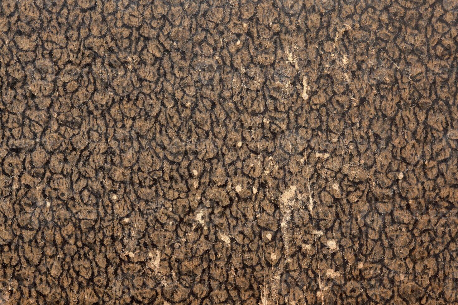 texture covers of ancient books photo