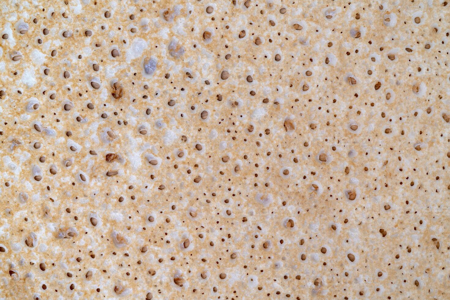 texture of the surface of freshly baked pancake. photo