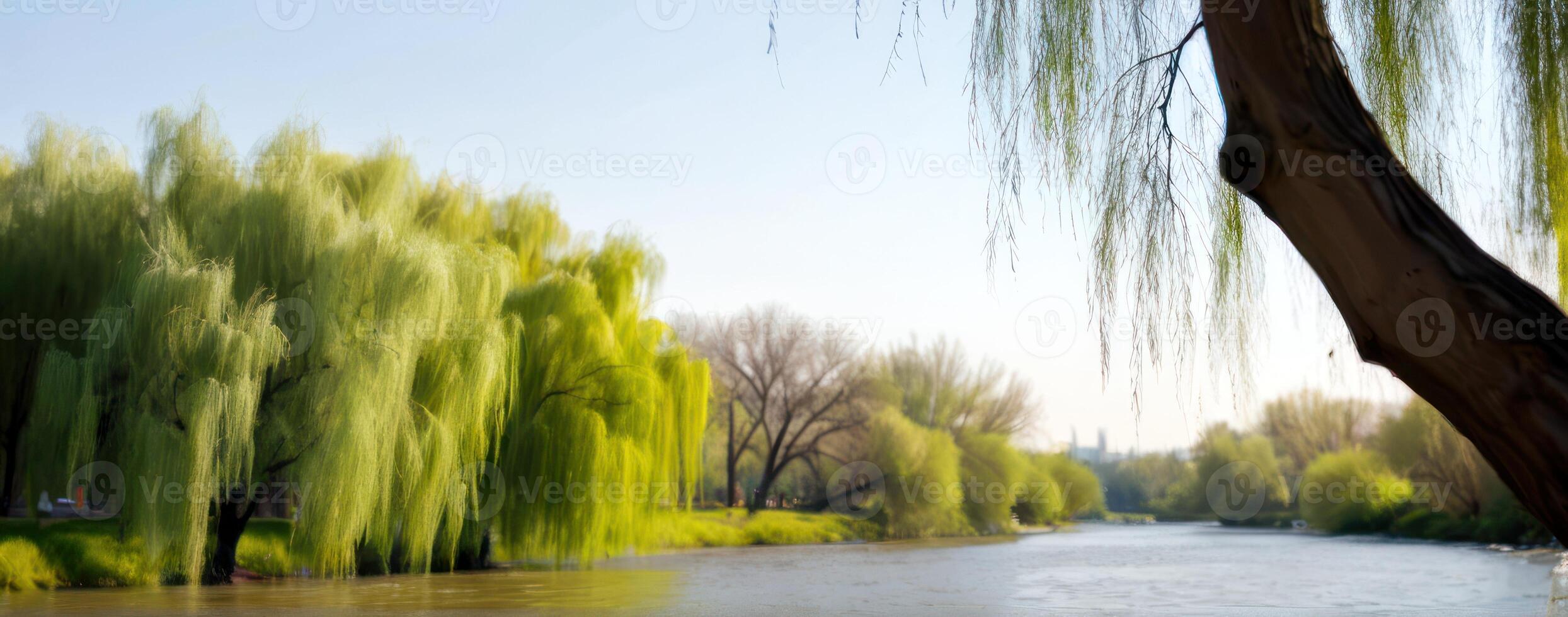 A tree in the water photo