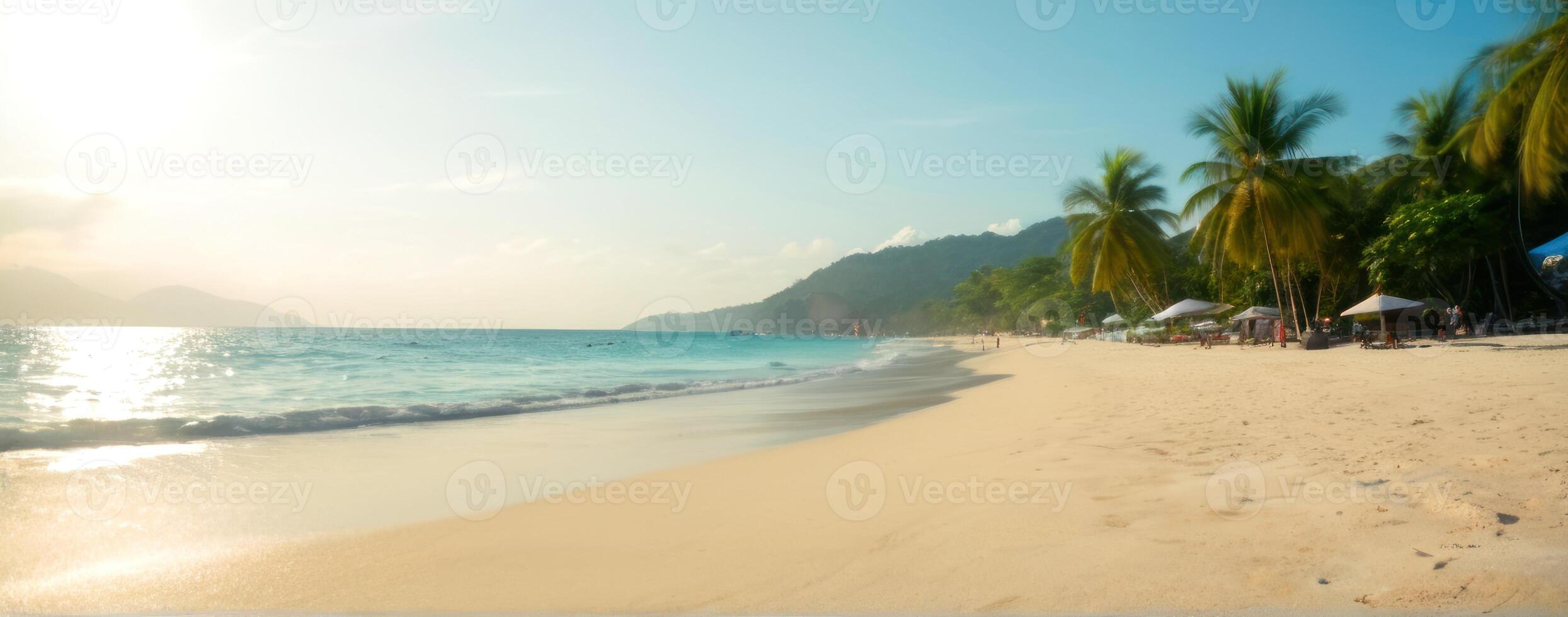 A beach with palm trees and the ocean in the background photo