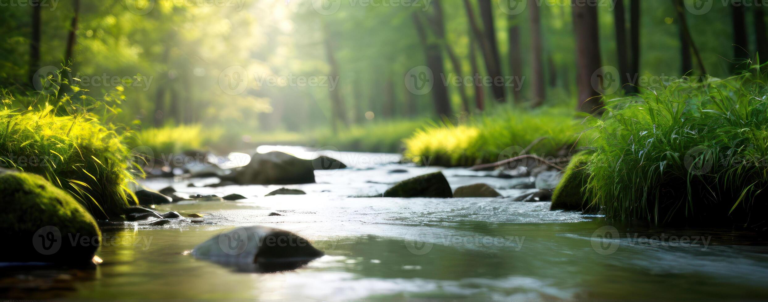 A stream in the forest with rocks and trees photo