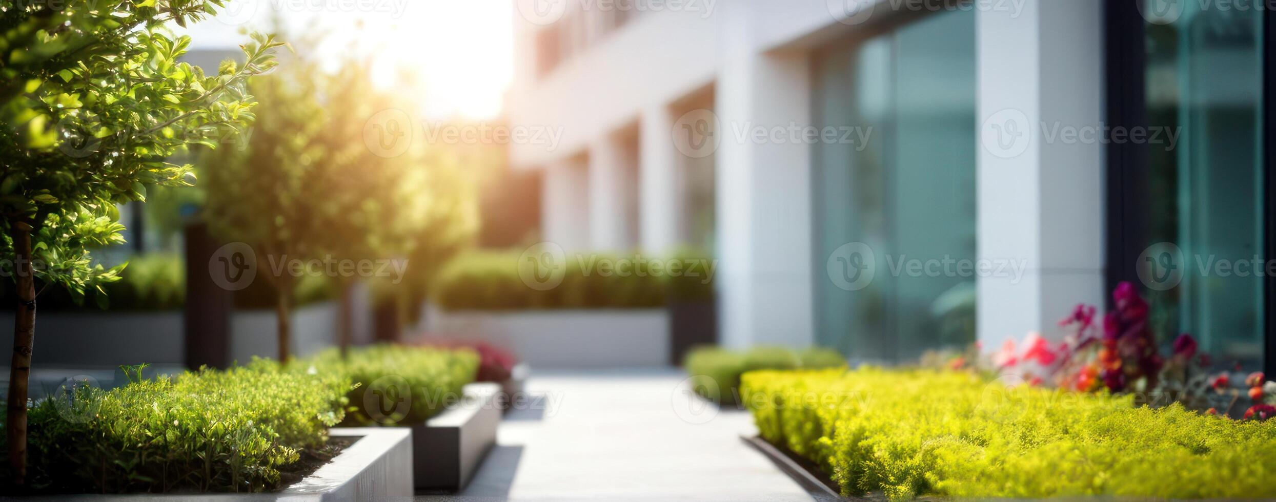 A walkway lined with plants and trees in front of an office building photo
