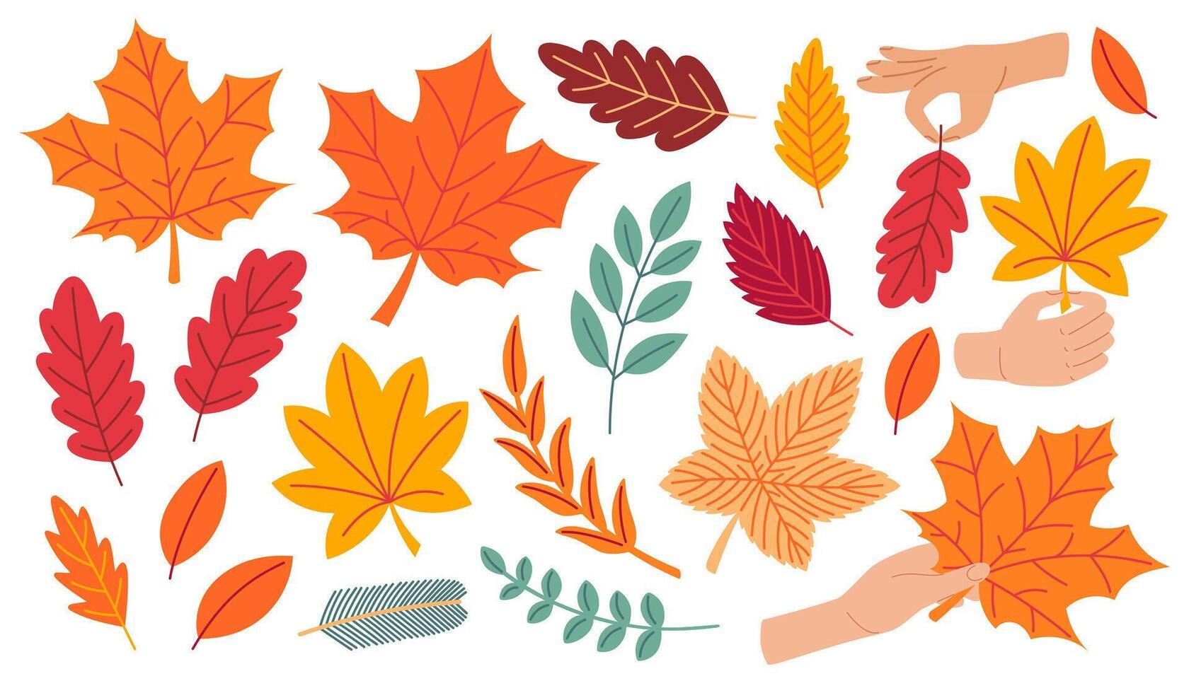 Autumn cozy design elements. Set of fall leaves, foliage. Flat illustration isolated on white background vector