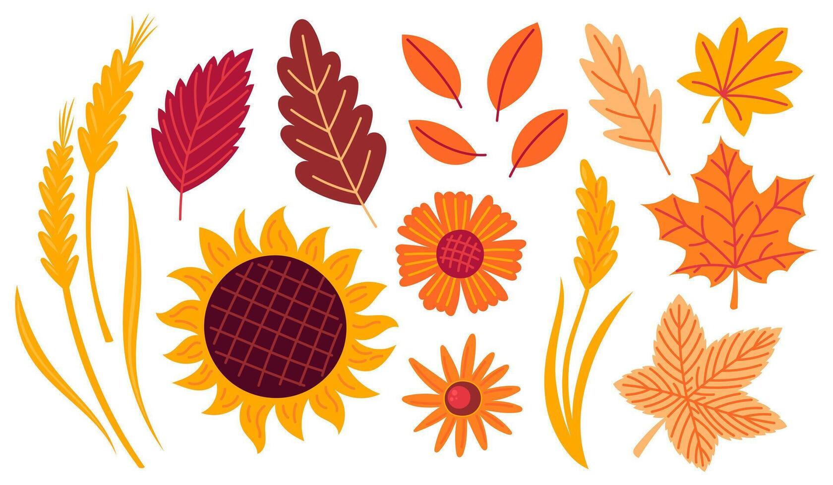 Autumn cozy design elements. Set of fall leaves, foliage and flowers. Flat illustration isolated on white background vector