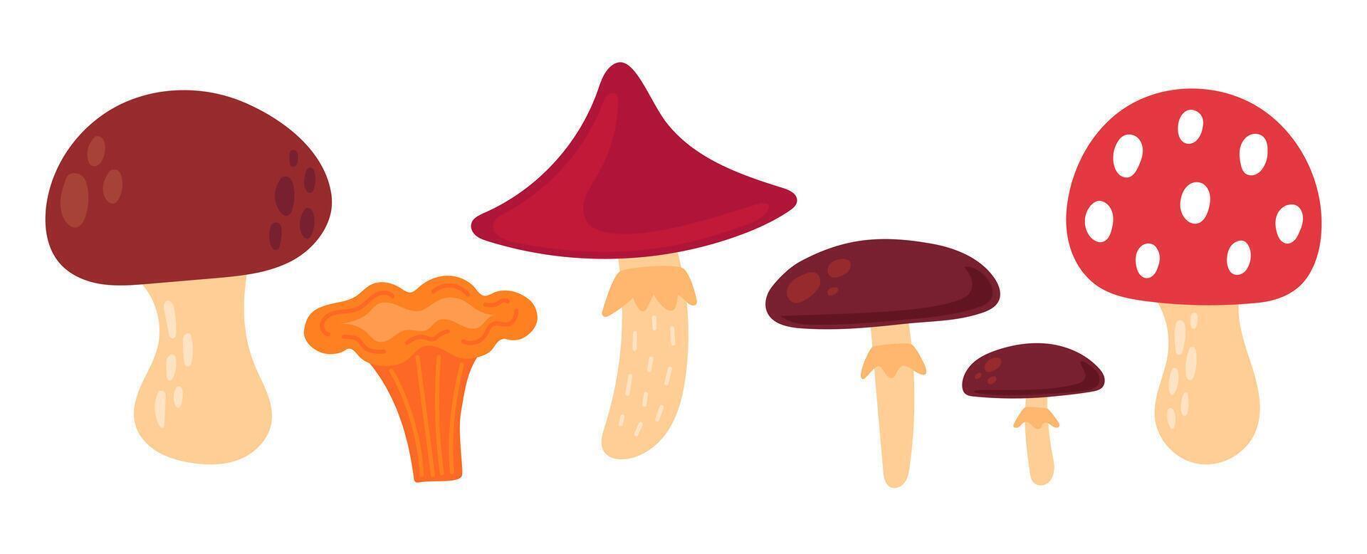 Mushroom set. Edible and poisonous mushrooms, chanterelles, porcini mushroom, fly agarics. Autumn cozy design elements. Flat illustration isolated on white background vector