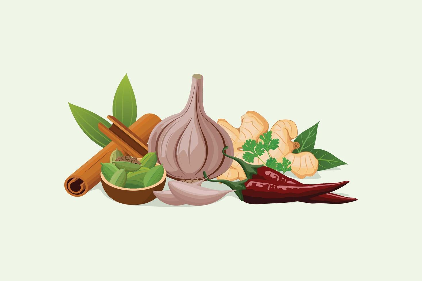 Spices and herbs set of chili, garlic cloves, cinnamon and cardamom illustration vector