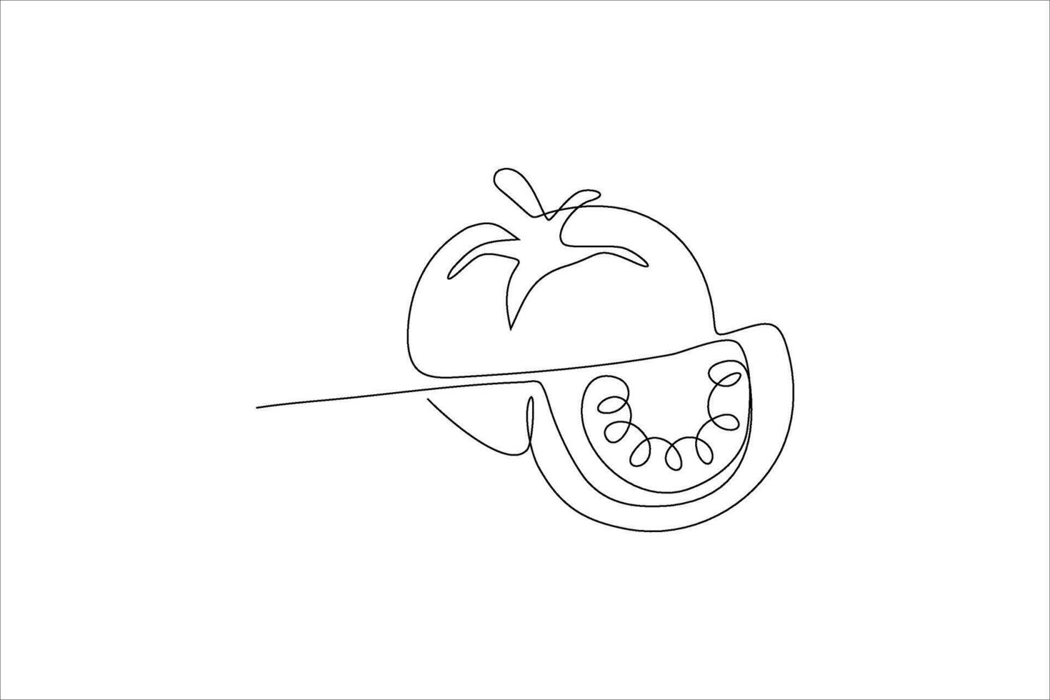 tomato fruit continuous line illustration vector
