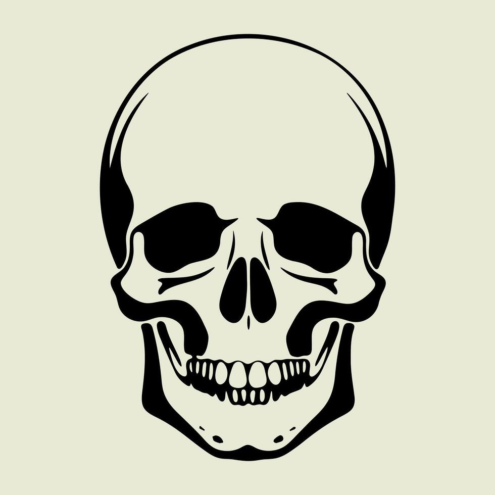A skull is shown in a black and white drawing vector