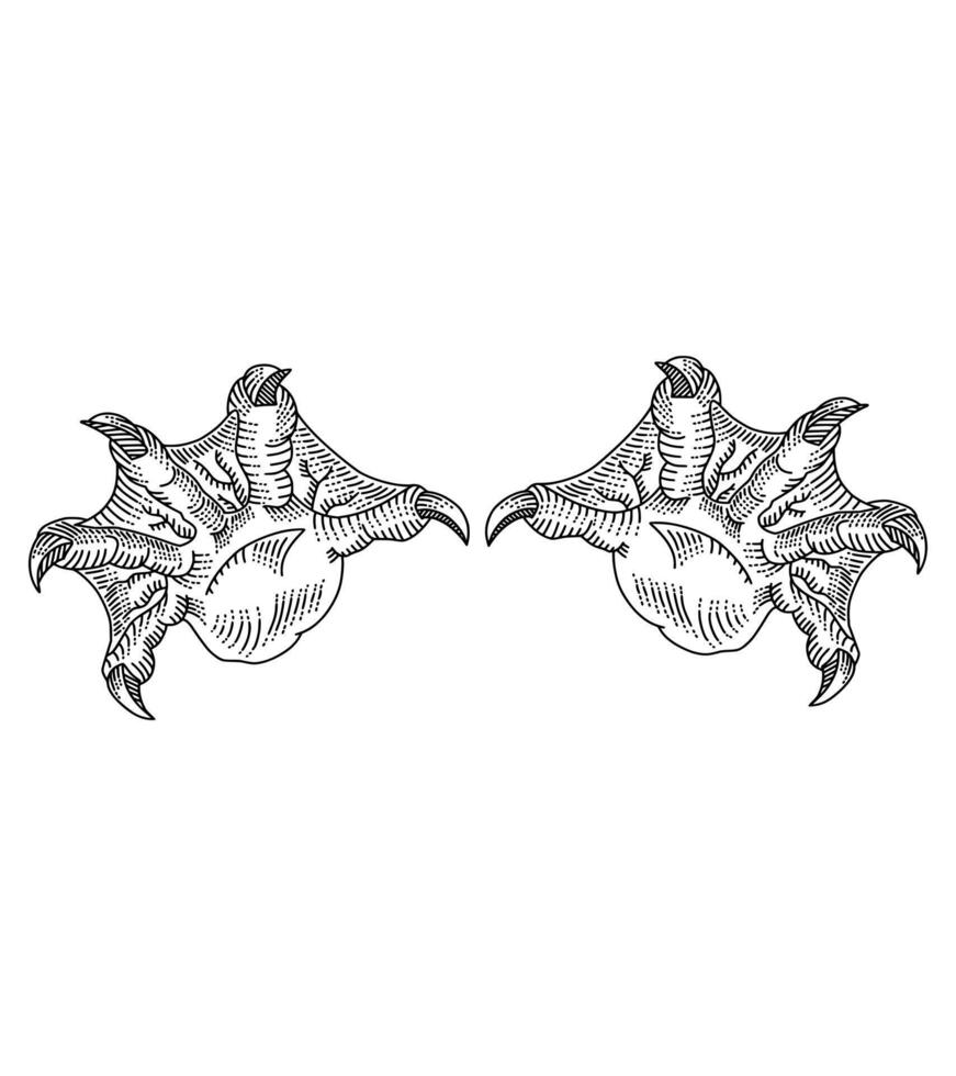 illustration depicts an amphibian hand with webbed fingers, rendered in a detailed crosshatching and engraving style. The hand is isolated against a white background, highlighting its unique anatomy. vector