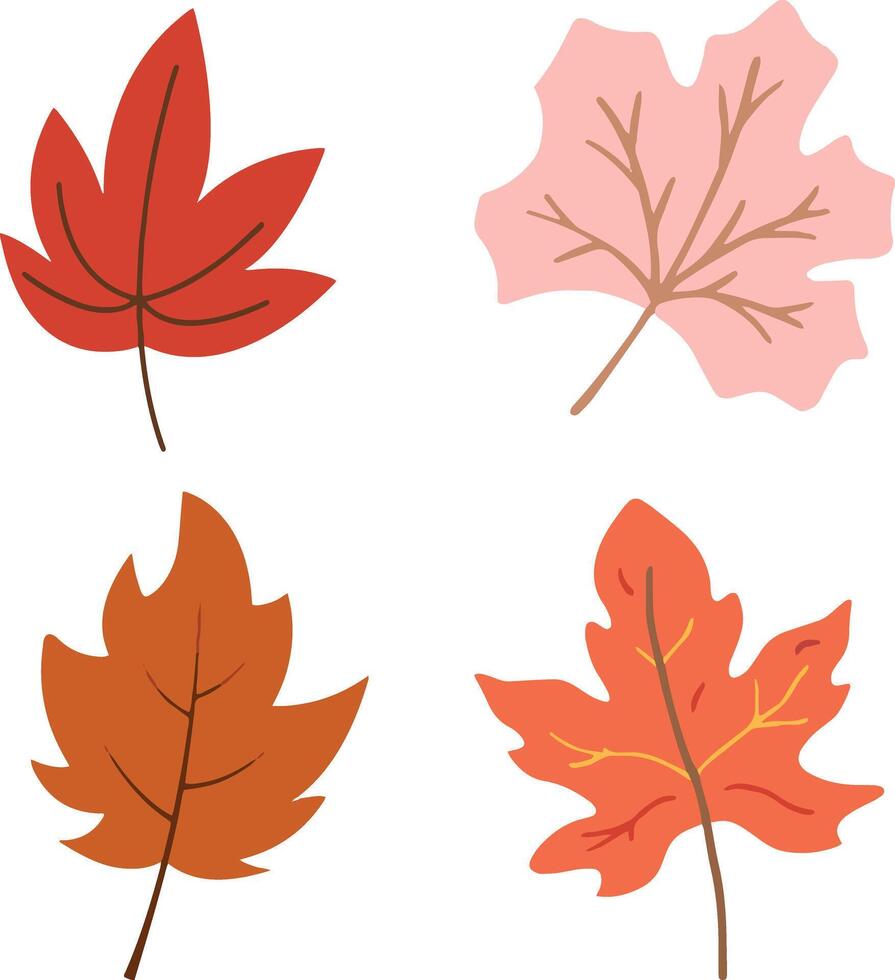 Fall season based flowers collection vector