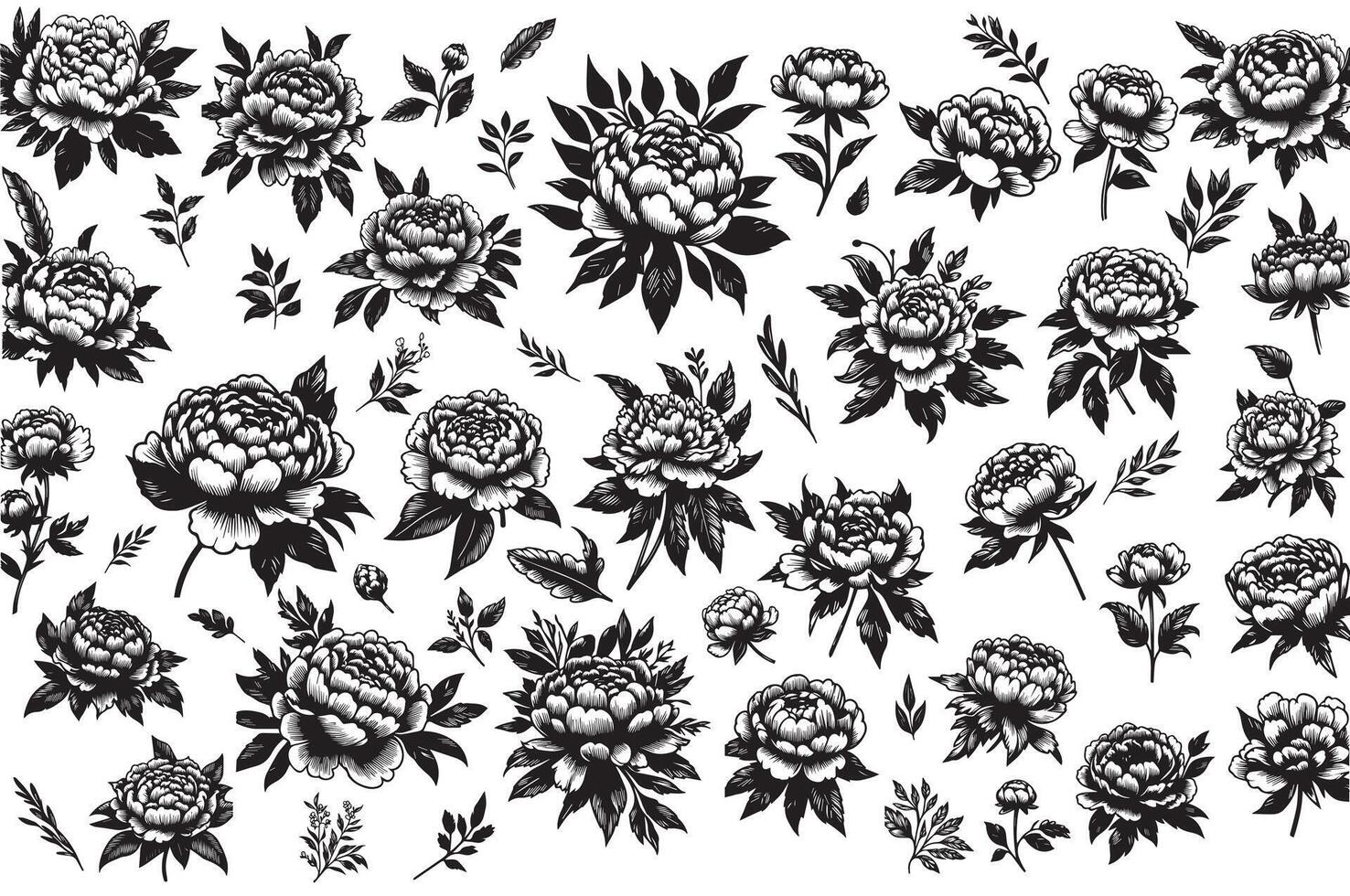 Collection of sketches of blooming floral plants. Hand drawn vintage peony flowers and leaves in line art style. vector