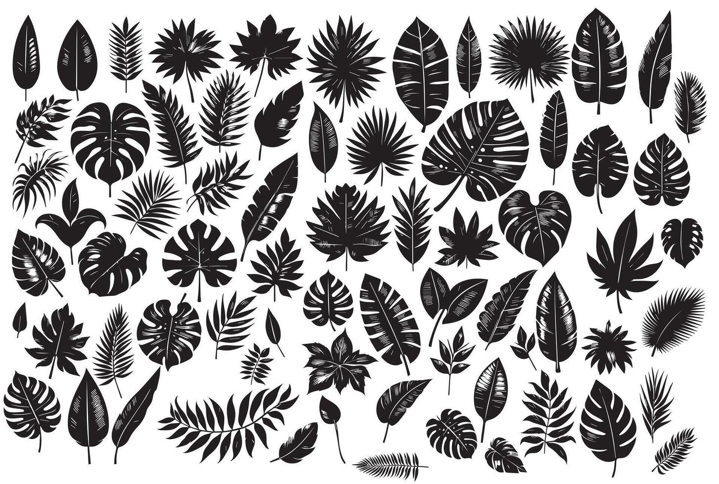 Black silhouettes of tropical palm leaves vector