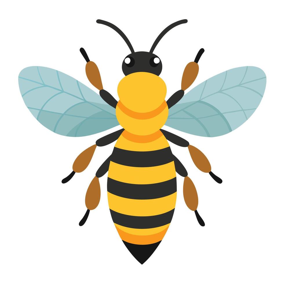 flat honey bee vector