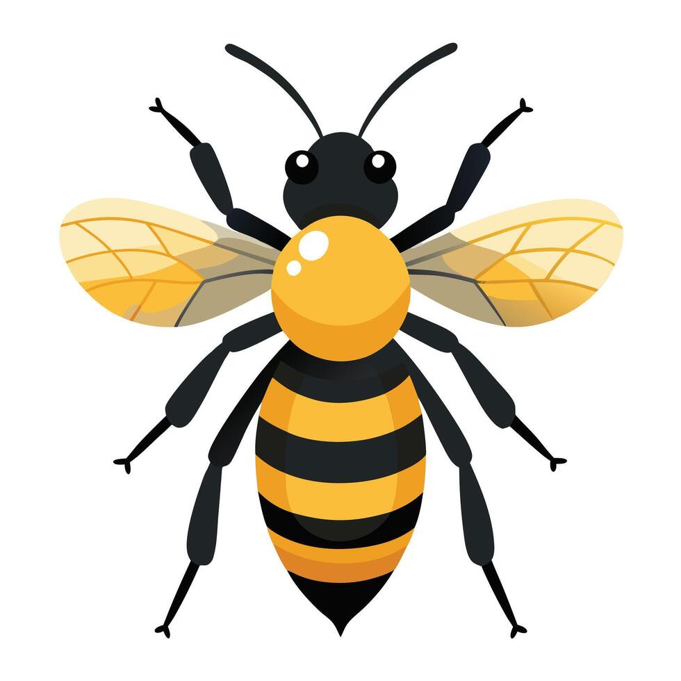 cute honey bee artwork vector